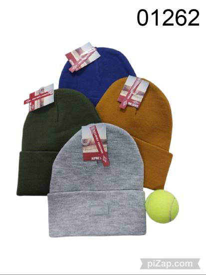Imagen de GORRO ALPINE SKATE 22X20CM 4.25